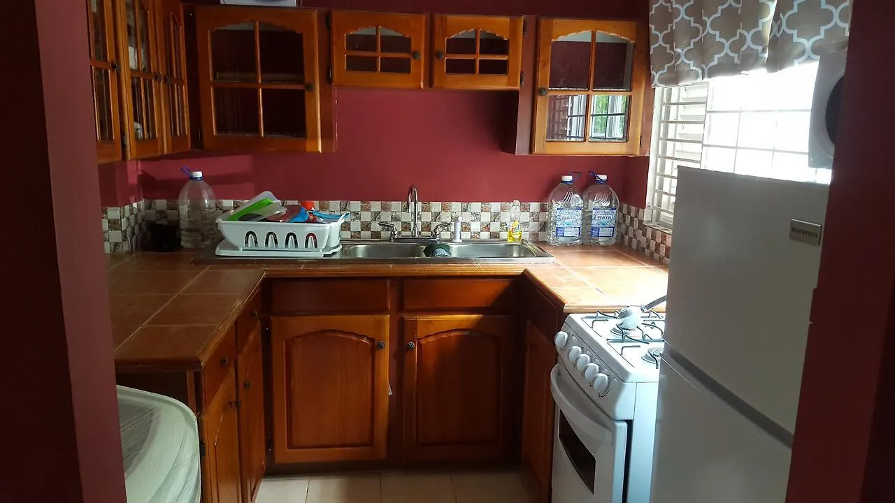 Tallyman Apt Montego Bay Apartment