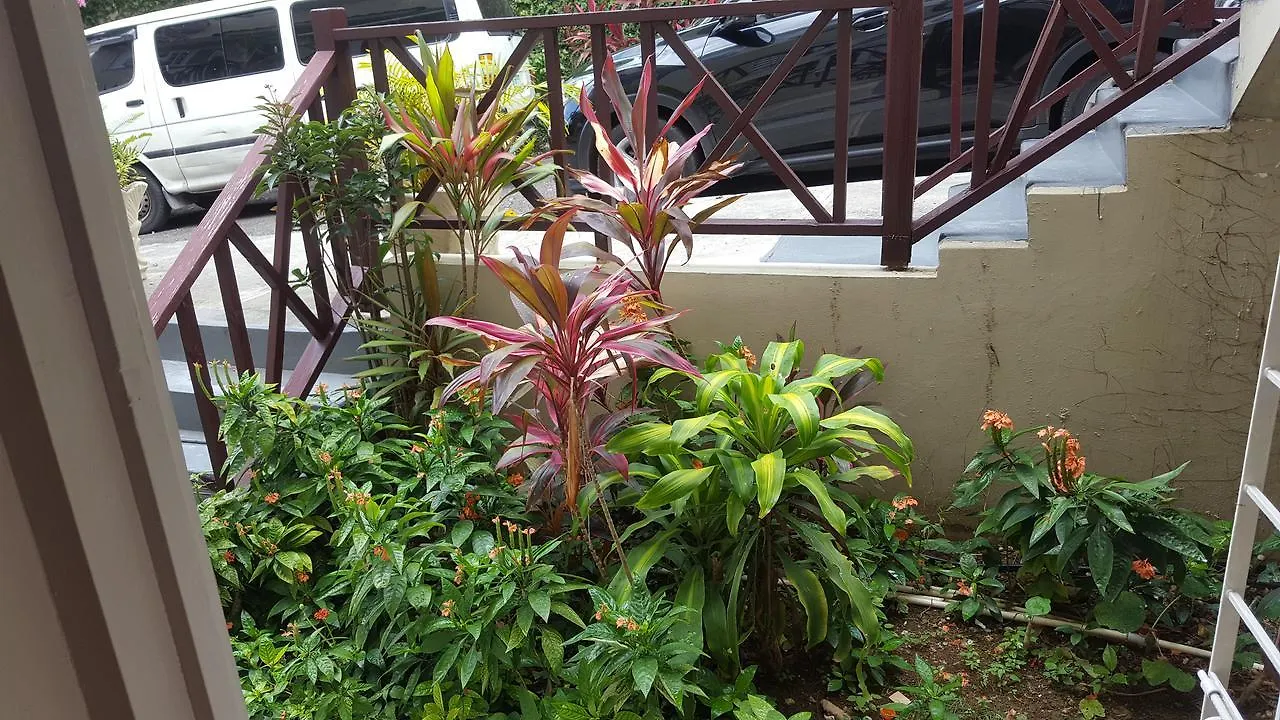 Tallyman Apt Montego Bay Apartment